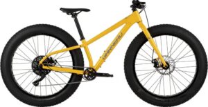 Garneau Big Will