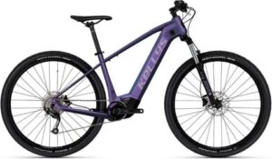 Kellys TAYEN R10 P MAGIC 29