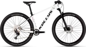 Kellys MYSTERY 30 29