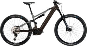 Bergstrom AXV 869 R 625Wh