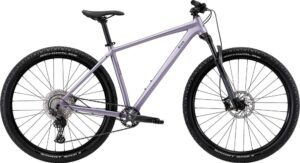 BiXS Core 400 Soft Purple / Dark Silver - Grass Green